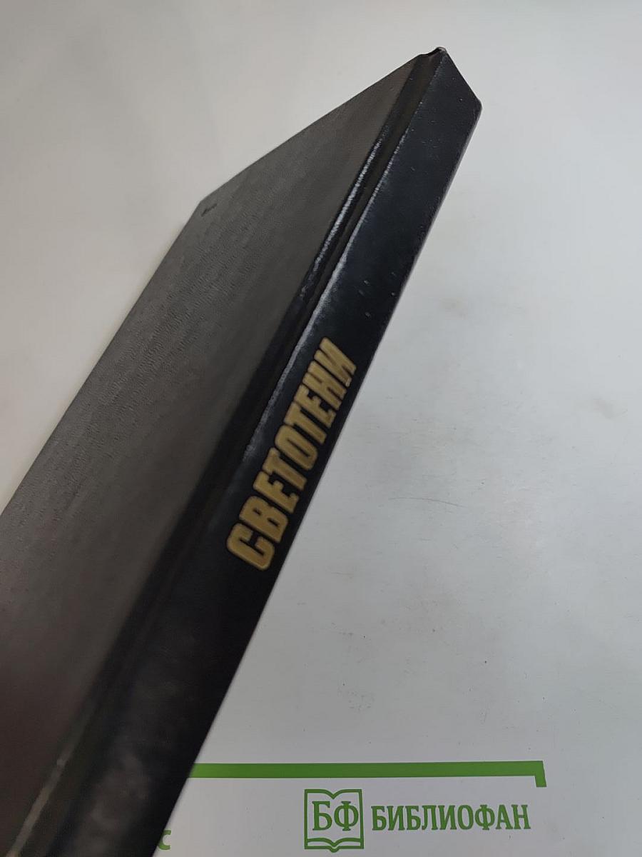 Светотени: Политический детектив