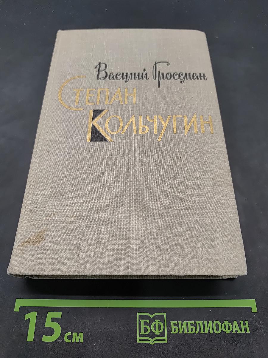 Степан Кольчугин. Книга вторая