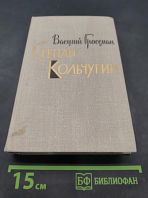 Степан Кольчугин. Книга вторая