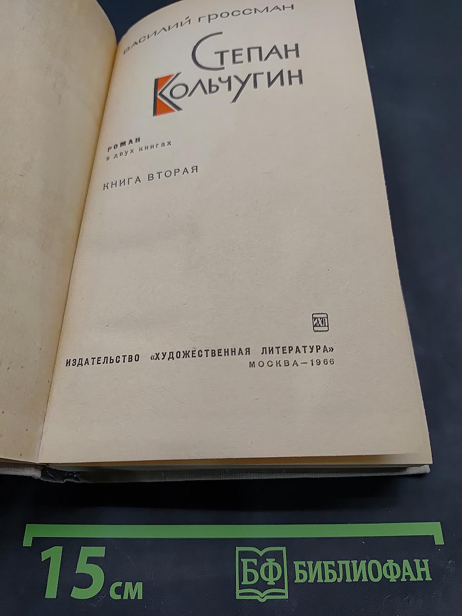Степан Кольчугин. Книга вторая
