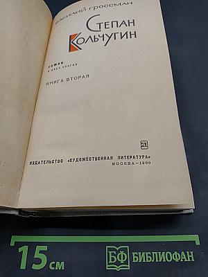 Степан Кольчугин. Книга вторая