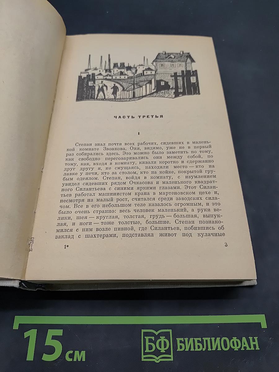 Степан Кольчугин. Книга вторая