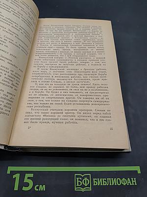 Степан Кольчугин. Книга вторая