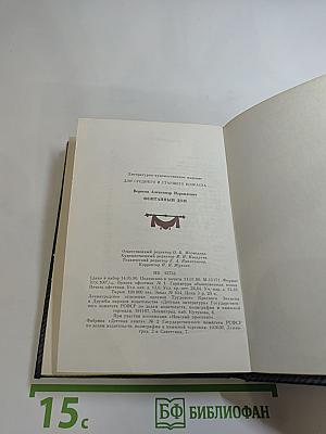 Фонтанный дом