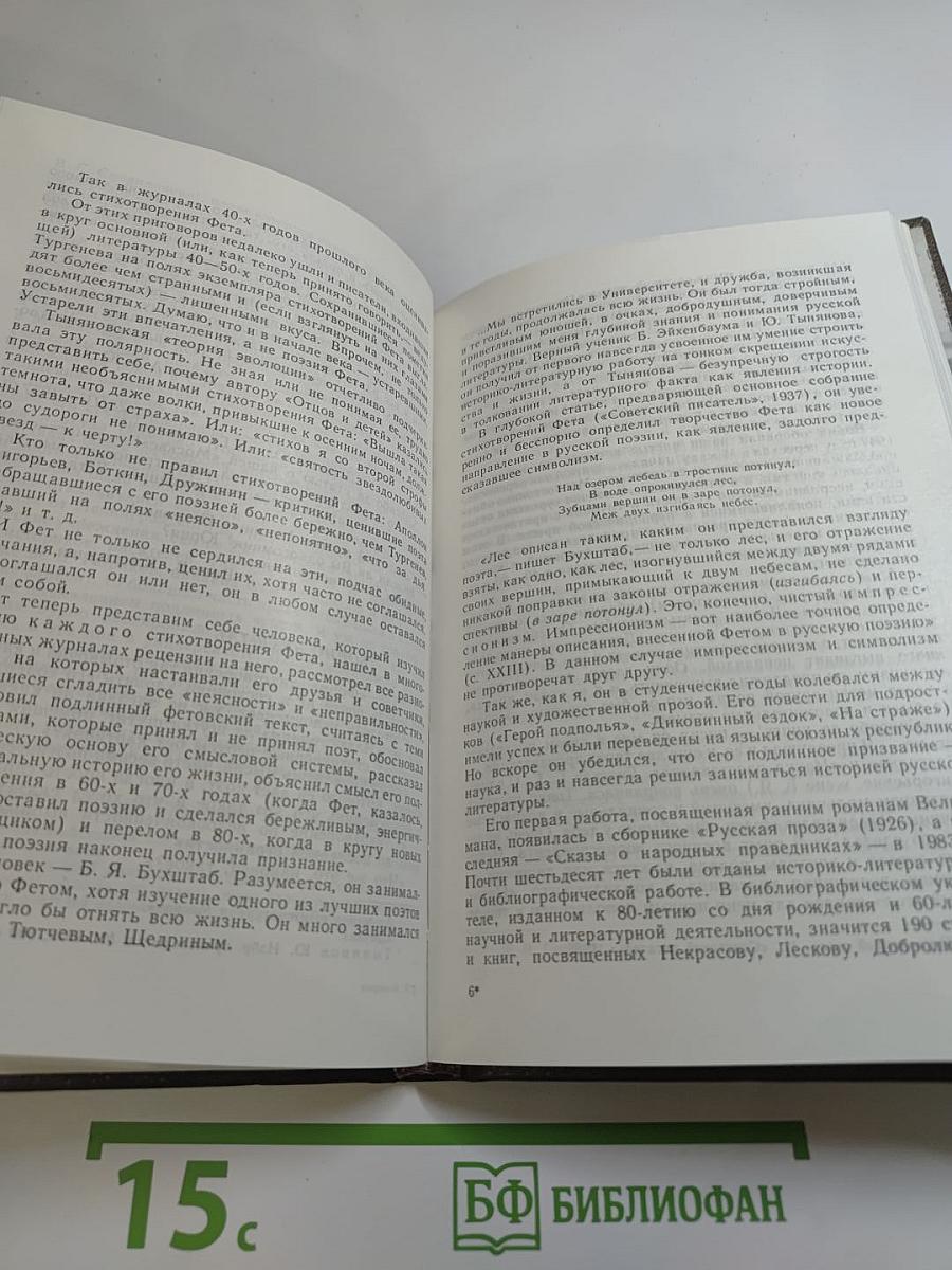 Литератор. Дневники и письма