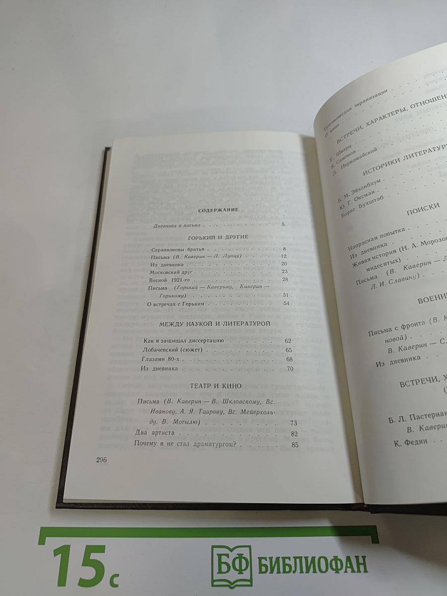 Литератор. Дневники и письма