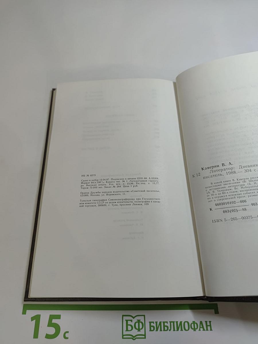 Литератор. Дневники и письма