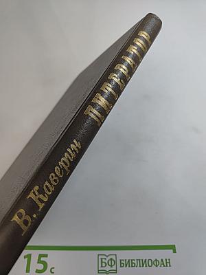 Литератор. Дневники и письма