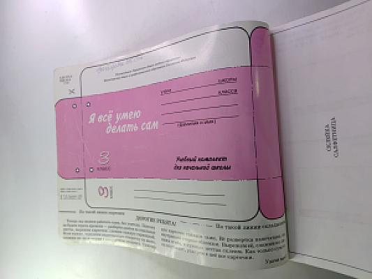 Урок труда. Я всё умею делать сам. 3 класс