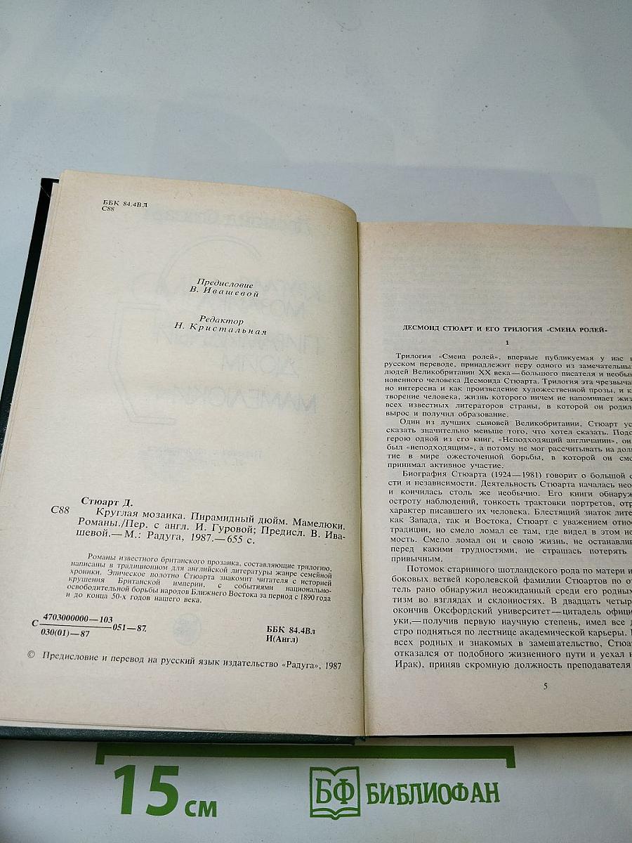 Круглая мозаика. Пирамидный дюйм. Мамелюки