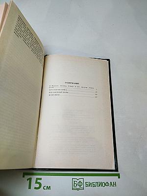 Круглая мозаика. Пирамидный дюйм. Мамелюки