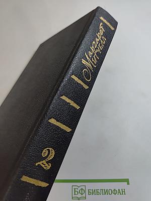 Унесенные ветром. Том 2