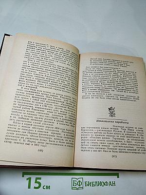 Сквозь "умственные плотины"