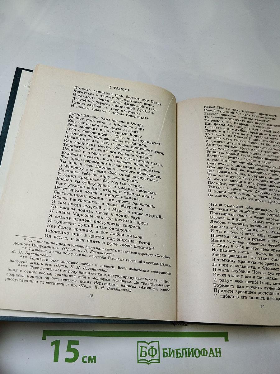 Нечто о поэте и поэзии