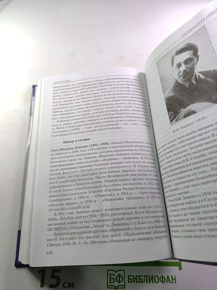 Литература. 11 класс. Часть 1