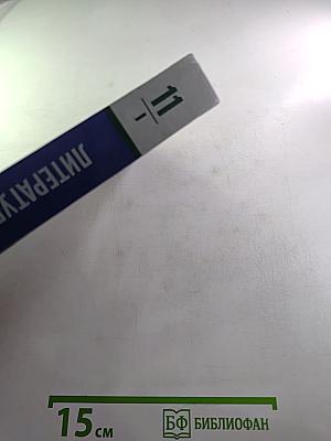 Литература. 11 класс. Часть 1