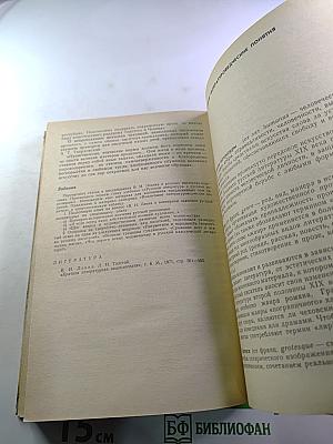 Русская литература. Учебник для 9 класса средней школы