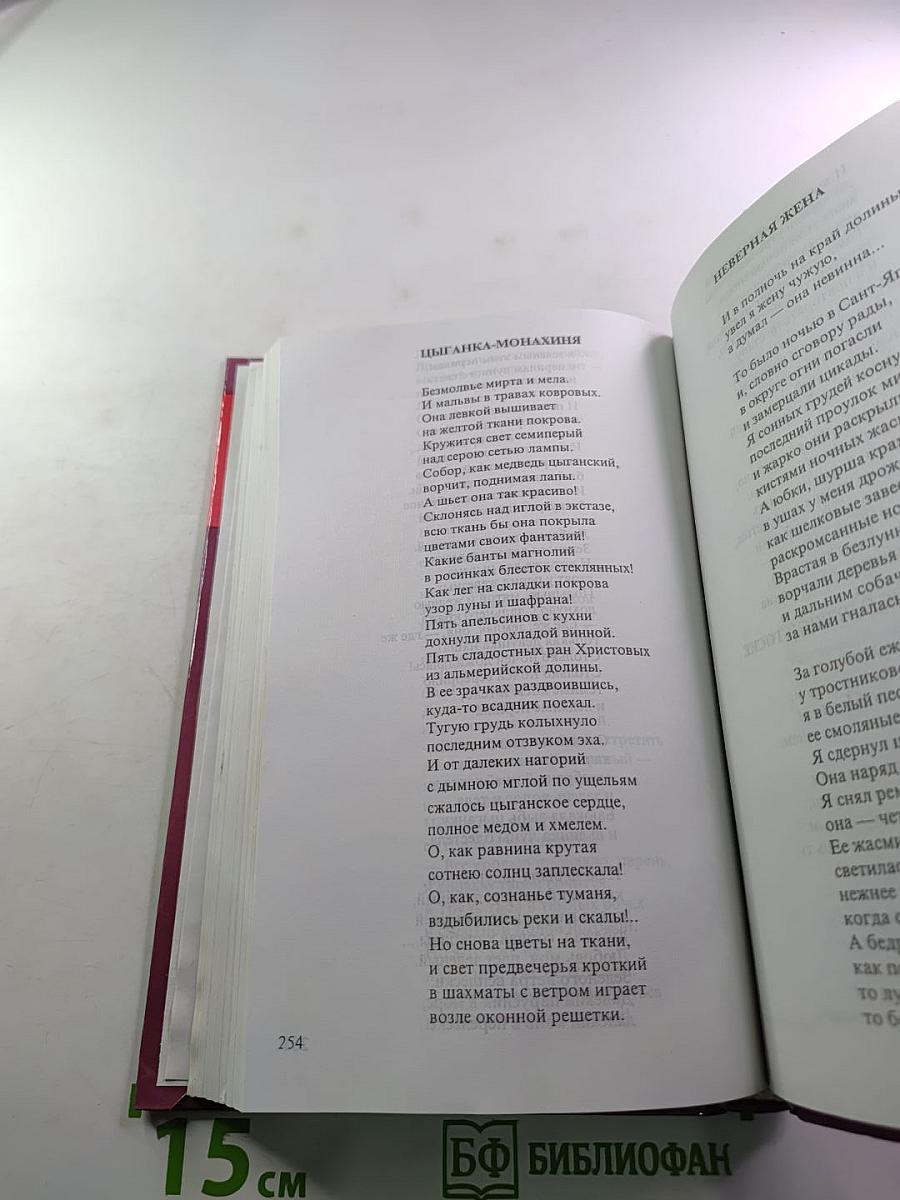 Зарубежная литература. Хрестоматия. 11 класс