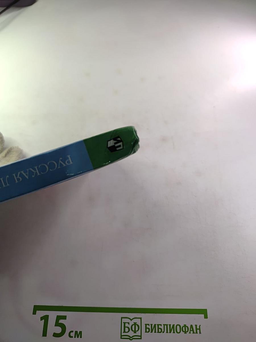 Русская литература XIX века. Часть вторая. 10 класс