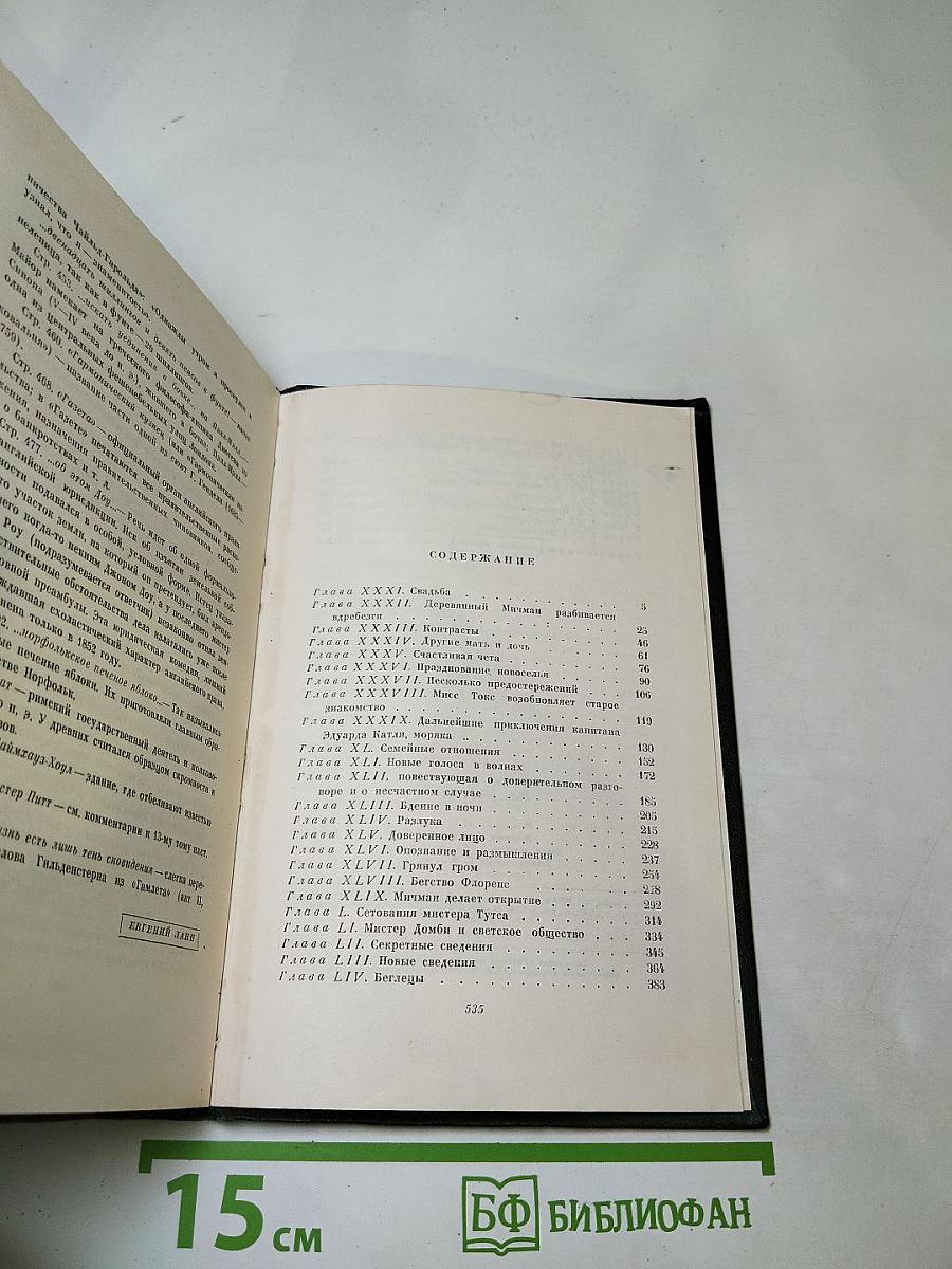 Собрание сочинений. Том четырнадцатый. Торговый дом Домби и сын (Главы XXXI–LII)