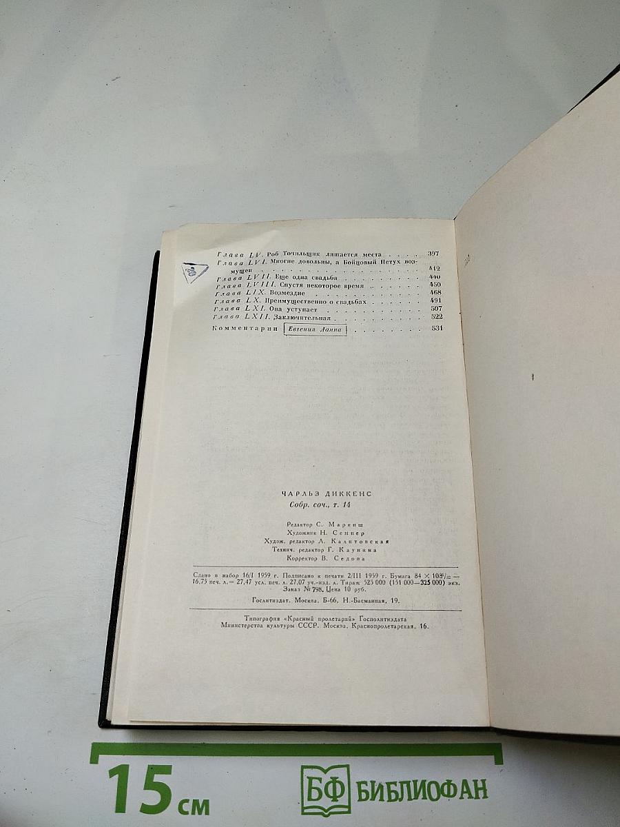 Собрание сочинений. Том четырнадцатый. Торговый дом Домби и сын (Главы XXXI–LII)