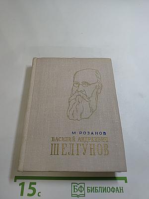 Василий Андреевич Шелгунов