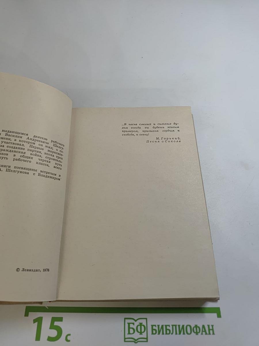 Василий Андреевич Шелгунов