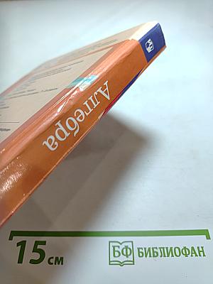 Алгебра 7 класс