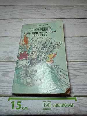 Овощи на приусадебном участке