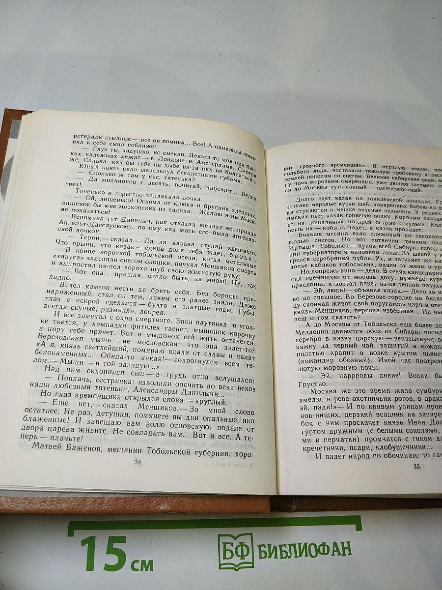 Слово и дело. Книга первая. Царица престрашного зраку