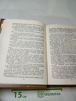 Слово и дело. Книга первая. Царица престрашного зраку