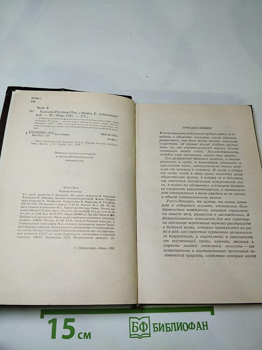 Карьера Ругонов