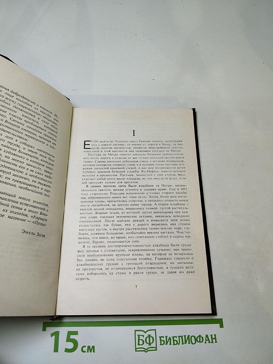 Карьера Ругонов