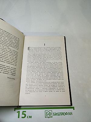 Карьера Ругонов