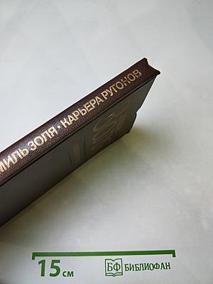 Карьера Ругонов