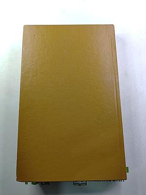 Шпион, или Повесть о нейтральной территории