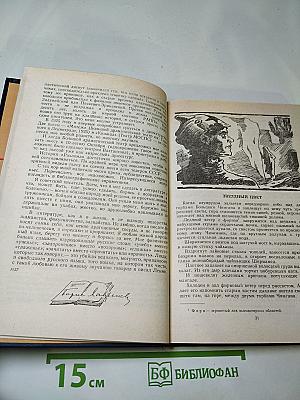 Звездный цвет