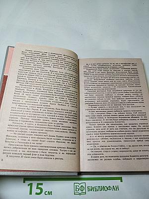 Кавалер Красного Замка