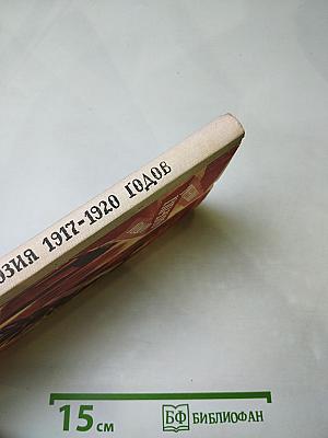 Поэзия 1917-1920 годов