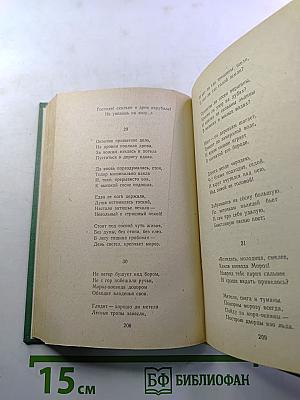 Избранная лирика