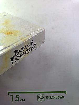 Степан Разин. Пушкин и Дантес. Художественная проза и мемуары