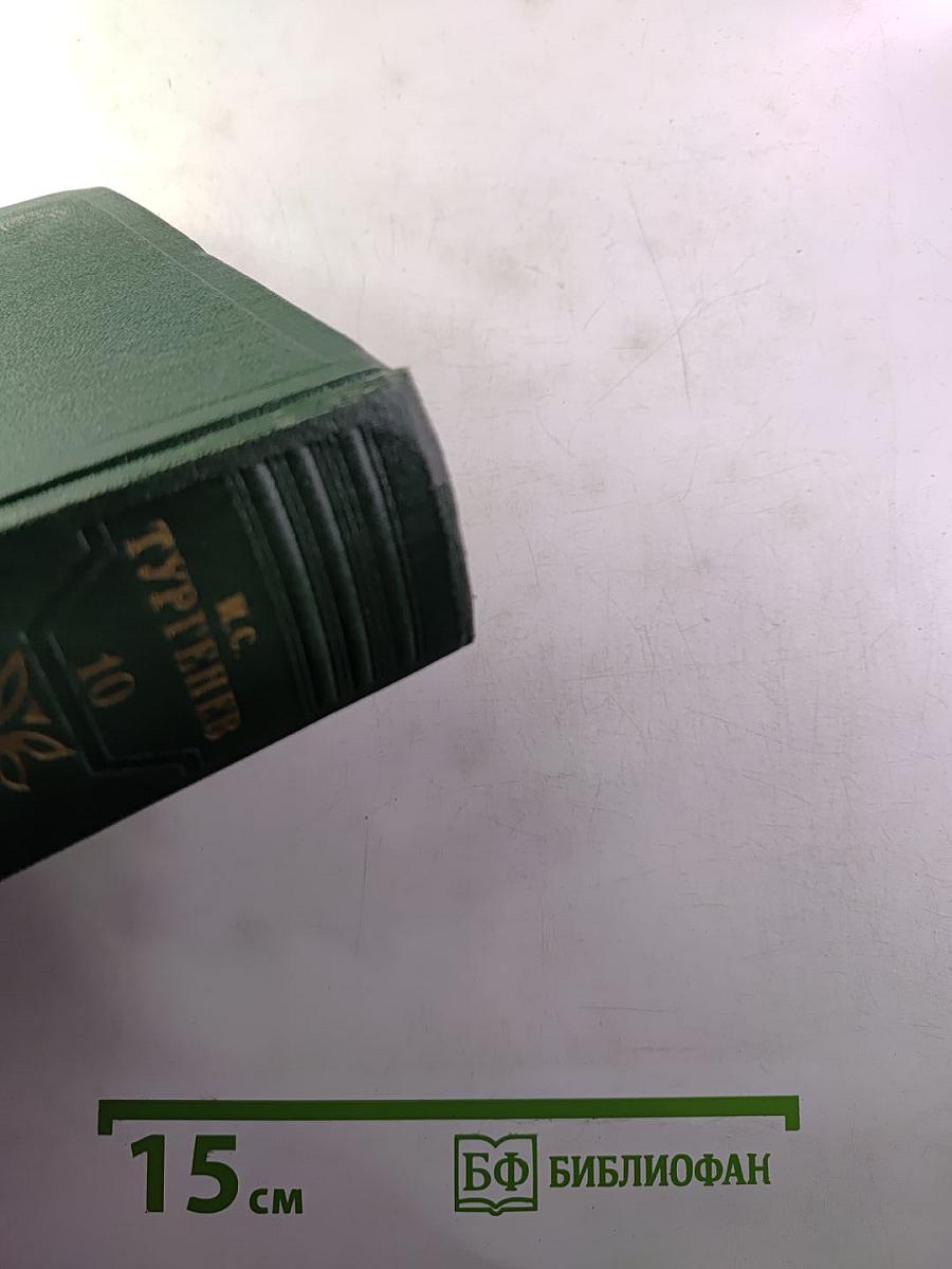 Собрание сочинений. Том 10: Стихотворения, поэмы, литературные и житейские воспоминания, переводы