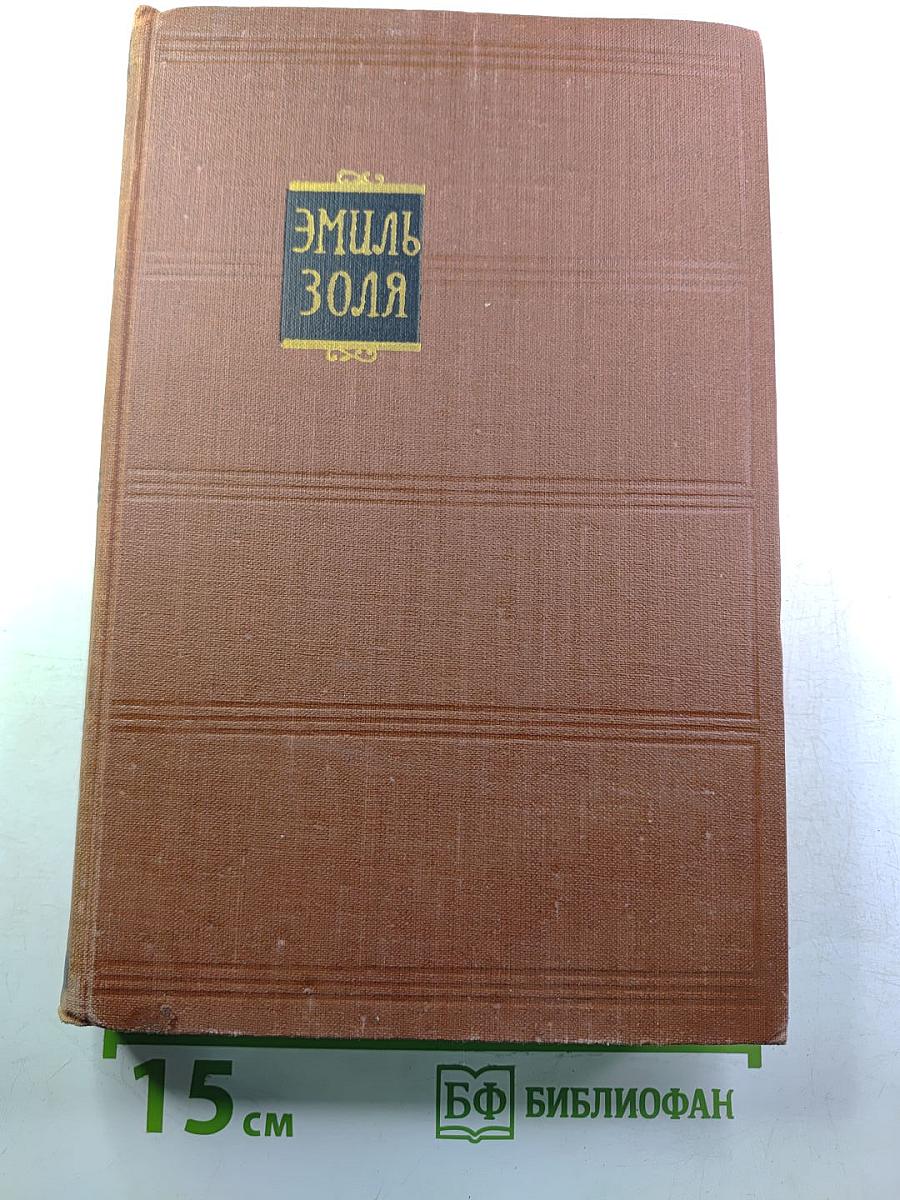 Собрание сочинений в 19 томах. Том 15. Разгром