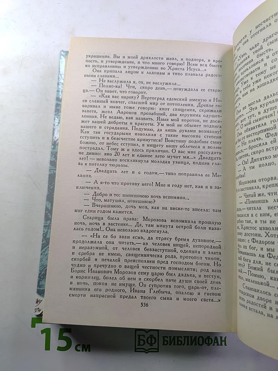 За чьи грехи? Великий раскол