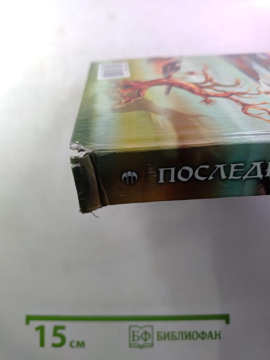 Последнее небо