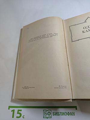 Одеты камнем. Радищев. Михайловский замок