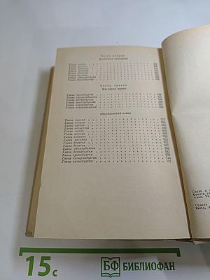 Одеты камнем. Радищев. Михайловский замок