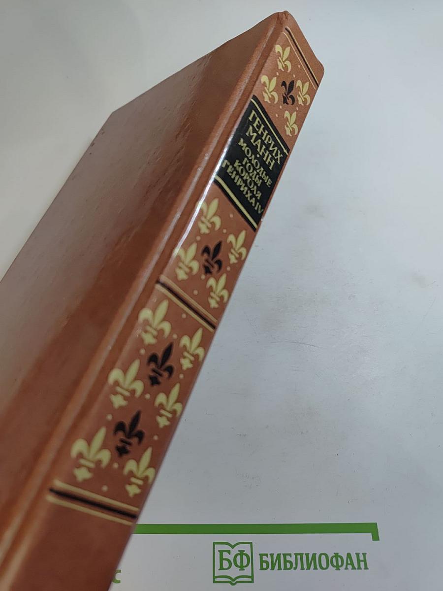 Молодые годы короля Генриха IV