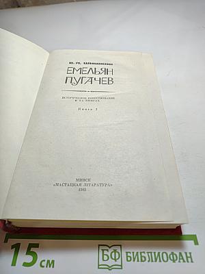 Емельян Пугачев. Книга 3