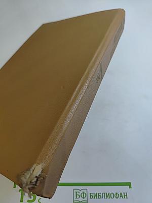 Андрей Платонов. Государственный житель. Проза. Ранние сочинения. Письма